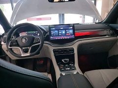 BYD Song Plus New Energy 2021 EV Premier - ფოტო 10