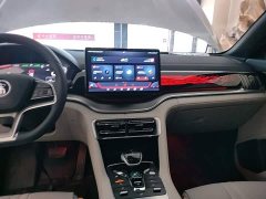 BYD Song Plus New Energy 2021 EV Premier - ფოტო 13