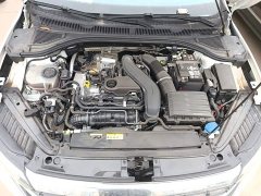 Volkswagen Sagitar 300TSI DSG Excellence Edition - ფოტო 16