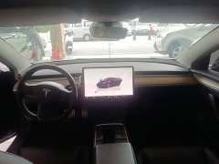 Tesla Model 3 Performance All-Wheel Drive - ფოტო 10
