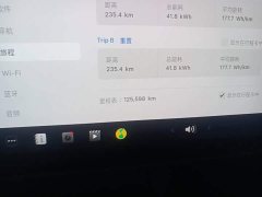 Tesla Model 3 Performance All-Wheel Drive - ფოტო 12