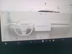 Tesla Model 3 Performance All-Wheel Drive - ფოტო 13