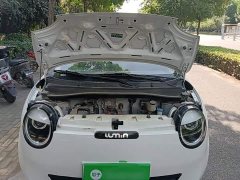 Changan Lumin 205km Pure Fragrance Edition - ფოტო 20