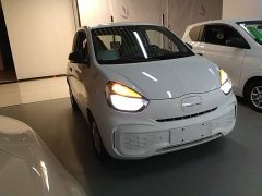 SAIC Corey Wei CLEVER 302km All-Purpose Edition - photo 4