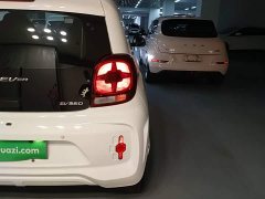 SAIC Corey Wei CLEVER 302km All-Purpose Edition - photo 8