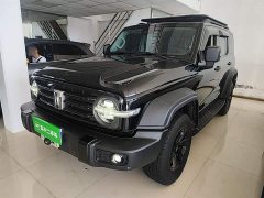 Tank 300 Off-Road Edition 2.0T Conqueror - ფოტო 1