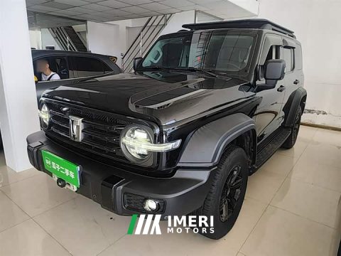 2021 Tank 300 Off-Road Edition 2.0T Conqueror - ავტომობილი ჩინეთიდან