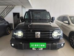 Tank 300 Off-Road Edition 2.0T Conqueror - ფოტო 3