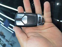 Audi A4L 2025 200 Million Units Joyful Edition 40 TFSI Luxury Dynamic - ფოტო 9