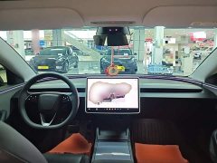 Tesla Model 3 Rear-Wheel Drive - ფოტო 10
