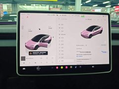 Tesla Model 3 Rear-Wheel Drive - ფოტო 12