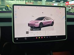 Tesla Model 3 Rear-Wheel Drive - ფოტო 13