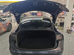 Tesla Model 3 Rear-Wheel Drive - ფოტო 19