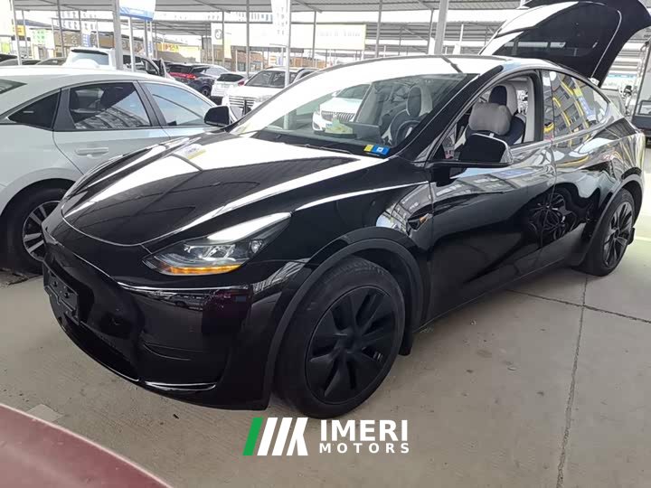 Tesla Model Y Rear-Wheel Drive