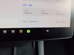 Tesla Model Y Rear-Wheel Drive - ფოტო 12