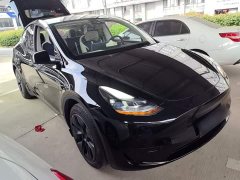 Tesla Model Y Rear-Wheel Drive - ფოტო 4
