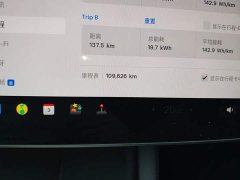 Tesla Model 3 2022 Rear-Wheel Drive - ფოტო 5