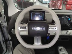 Changan Lumin Treasure Edition 205km Cool Love White CATL - ფოტო 11