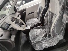 Changan Lumin Treasure Edition 205km Cool Love White CATL - ფოტო 15