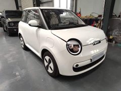 Changan Lumin Treasure Edition 205km Cool Love White CATL - ფოტო 4