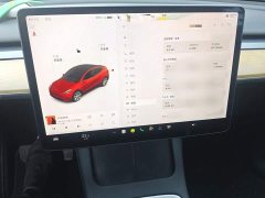 Tesla Model Y Standard Range RWD - ფოტო 4