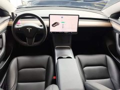 Tesla Model 3 Standard Range RWD Upgrade 3D6 - ფოტო 10