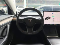 Tesla Model 3 Standard Range RWD Upgrade 3D6 - ფოტო 11