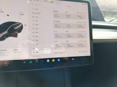 Tesla Model 3 Standard Range RWD Upgrade 3D6 - ფოტო 12