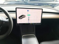 Tesla Model 3 Standard Range RWD Upgrade 3D6 - ფოტო 13