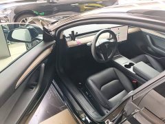Tesla Model 3 Standard Range RWD Upgrade 3D6 - ფოტო 16