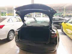 Tesla Model 3 Standard Range RWD Upgrade 3D6 - ფოტო 19