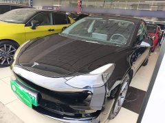 Tesla Model 3 Standard Range RWD Upgrade 3D6 - ფოტო 2