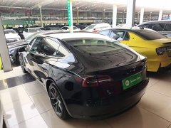 Tesla Model 3 Standard Range RWD Upgrade 3D6 - ფოტო 5