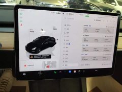 Tesla Model 3 2022 Rear-Wheel Drive - ფოტო 12