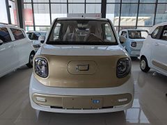 FAW Besturn Xiaoma 222km Colorful Edition - ფოტო 3