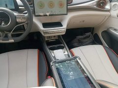BYD Dolphin 405km Fashion Edition - ფოტო 14