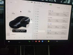 Tesla Model Y Rear-Wheel Drive - ფოტო 12