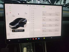 Tesla Model Y Rear-Wheel Drive - ფოტო 13