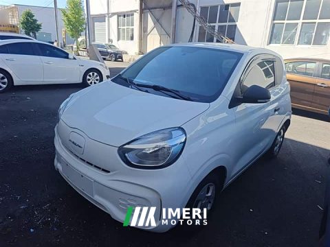 2022 SAIC Corey Wei CLEVER 2021 302km All-Purpose Edition - ავტომობილი ჩინეთიდან