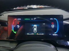 BYD Qin PLUS Glory Edition DM-i 55KM Leading - ფოტო 12