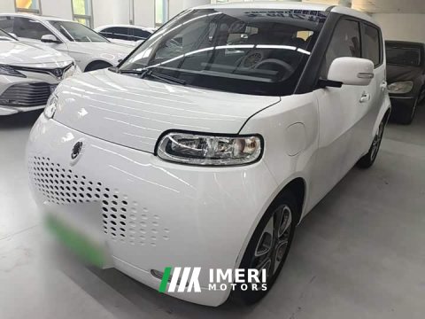 2021 ORA White Cat 2020 305km Luxury - ავტომობილი ჩინეთიდან