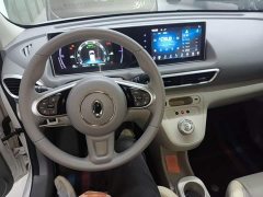ORA White Cat 2020 305km Luxury - ფოტო 10