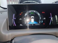 ORA White Cat 2020 305km Luxury - ფოტო 12