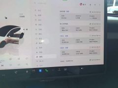 Tesla Model 3 2023 Rear-Wheel Drive - ფოტო 11