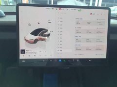 Tesla Model 3 2023 Rear-Wheel Drive - ფოტო 12