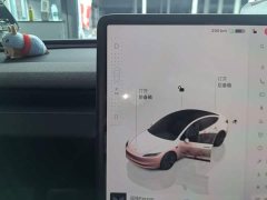 Tesla Model 3 2023 Rear-Wheel Drive - ფოტო 13