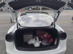 Tesla Model 3 2023 Rear-Wheel Drive - ფოტო 18