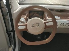 FAW Besturn Xiaoma 222km Colorful Edition - ფოტო 11