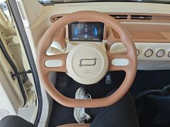 FAW Besturn Xiaoma 222km Agile Edition - ფოტო 11