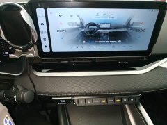 Geely Xingrui 2.0T Diesel Luxury - ფოტო 13
